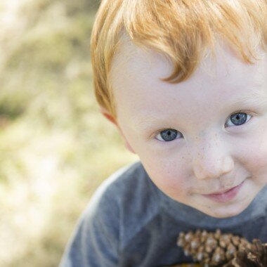 FOCUS on Young Children's Learning